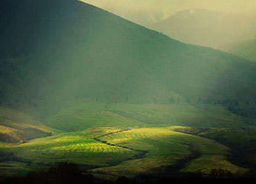 找正规免费呼叫轰炸神器网页版